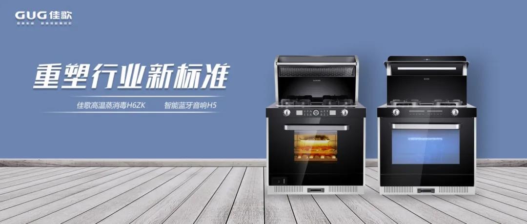 佳歌品牌代言人佟麗婭榮獲“微博年度之星”！