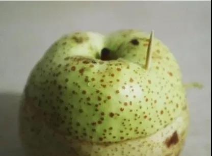 一雷驚蟄醒，今天要用什么來叫醒你的胃？