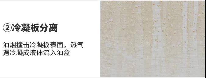 還地球一片綠色，佳歌與你一佟行動！