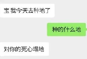我命油我不油天，你的廚房去油了嗎？