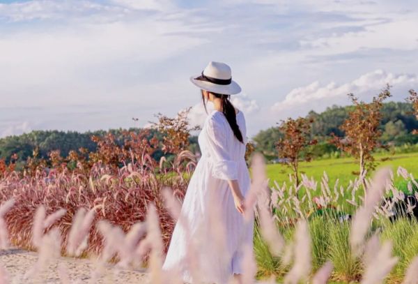 高品質(zhì)生活，佳歌集成灶你值得擁有！